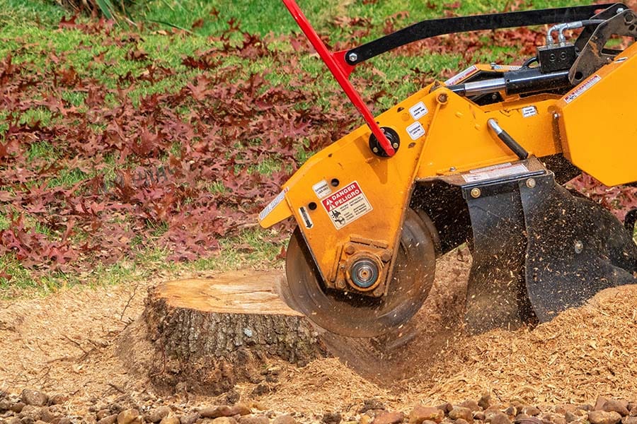 Stump Removal